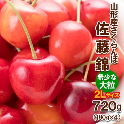 さくらんぼ 佐藤錦”希少な大粒” 2L 720【令和8年産先行予約】FS25-569 