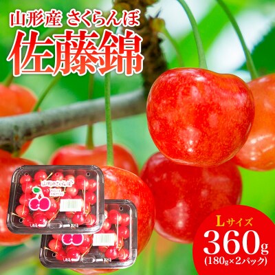 さくらんぼ 特選 佐藤錦 L 360g(180g×) 【令和8年産先行予約】FS25-503 