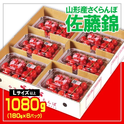 さくらんぼ 佐藤錦 L以上 1080g(180g×6) 【令和9年産先行予約】 FS25-557 
