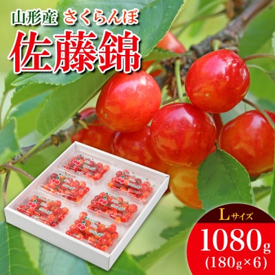   L 1080g (180g×6pbN) yߘa8NYs\zFS25-532