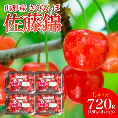   L 720g(180g×4pbN) yߘa8NYs\zFS25-504