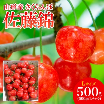 R`Y   L 500g yߘa8NYs\zFS25-505