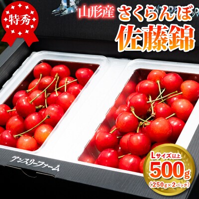  山形産 さくらんぼ「佐藤錦」500g 特秀品 Lサイズ以上 【令和9年産先行予約】FS24-805