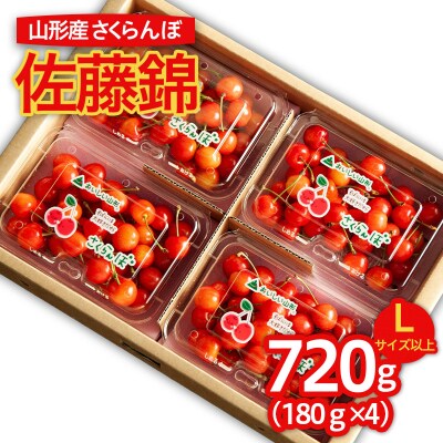 さくらんぼ 佐藤錦 L以上 720g (180g×4) 【令和9年産先行予約】FS25-516