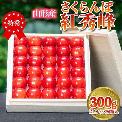 さくらんぼ 「紅秀峰」 300g 特秀品 2L 桐箱入 【令和9年産先行予約】 FS24-036