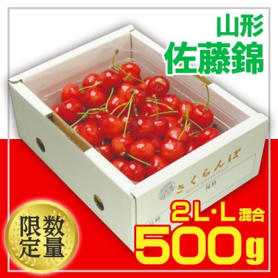 山形さくらんぼ 佐藤錦500g☆2L・L混合 バラ化粧箱詰 【令和8年産先行予約】FU20-064