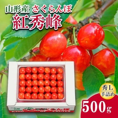 (gG)L500gl yߘa8NYs\zFS24-583