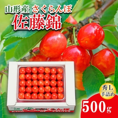   L500g l yߘa8NYs\zFS24-581