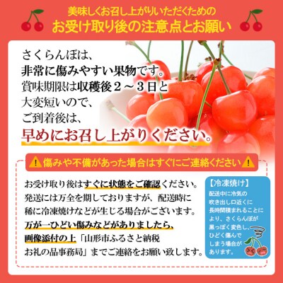 さくらんぼ 佐藤錦 L500g 手詰 【令和9年産先行予約】FS24-581 