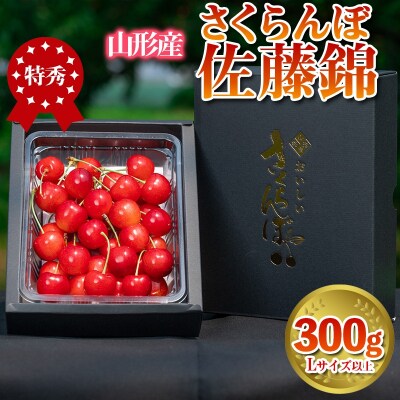 さくらんぼ 佐藤錦 300g 特秀品 Lサイズ以上 【令和9年産先行予約】 FS24-668