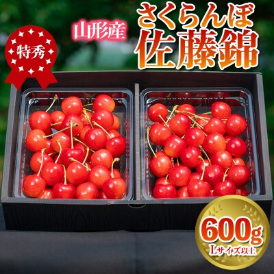 さくらんぼ 佐藤錦 600g 特秀品 L 以上 山形産 【令和9年産先行予約】 FS24-669 