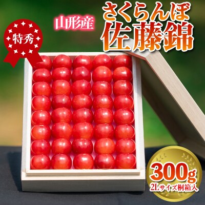 さくらんぼ 「佐藤錦」 300g 特秀品 2L 桐箱入【令和9年産先行予約】  FS24-033 