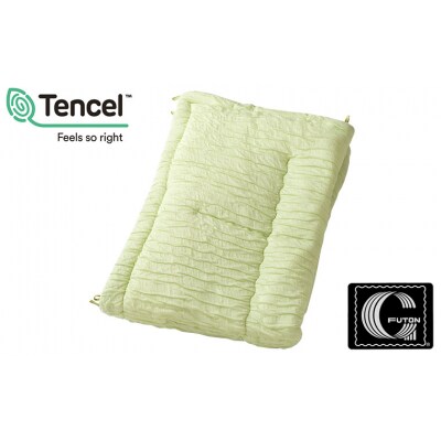 【日本の極み】選べる3色♪お昼寝ふわとろケット [グリーン]  FZ23-299