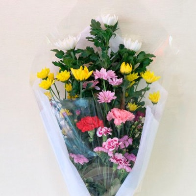 【定期便12回】 ご命日花束定期便 FZ19-927