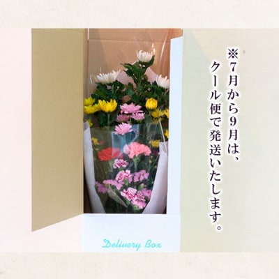 【定期便12回】 ご命日花束定期便 FZ19-927