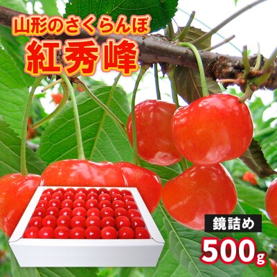 さくらんぼ 紅秀峰 鏡詰め 500g Lサイズ以上 【令和9年産先行予約】FS25-518