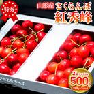 さくらんぼ「紅秀峰」500g 特秀品 2Lサイズ以上【令和8年産先行予約】FS25-926