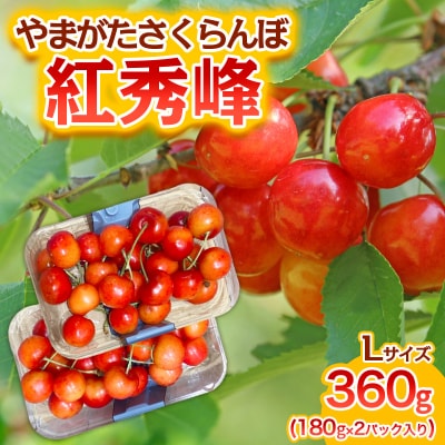  さくらんぼ 紅秀峰 L 360g(180g×2) 1箱【令和9年産先行予約】FS25-575 