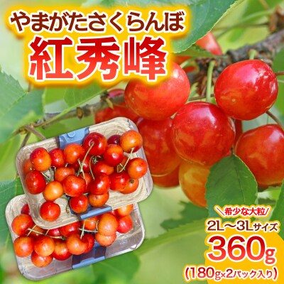 さくらんぼ 紅秀峰 "希少な大粒" 2L～3L360g 1箱【令和9年産先行予約】FS25-574