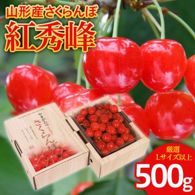 さくらんぼ 紅秀峰 厳選 L以上 500g入り1箱 【令和9年産先行予約】FS25-559 