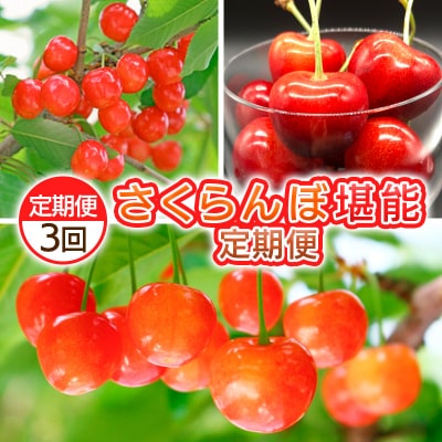 y3zڊ\ցyߘa8NYs\zFS25-062