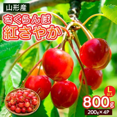 さくらんぼ 紅さやか Lサイズ以上 800g(200g×4)【令和9年産先行予約】FS25-063
