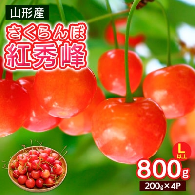 さくらんぼ Lサイズ以上 紅秀峰 800g(200g×4)【令和9年産先行予約】FS25-065