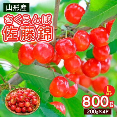 さくらんぼ Lサイズ以上 佐藤錦 800g(200g×4)【令和9年産先行予約】FS25-066