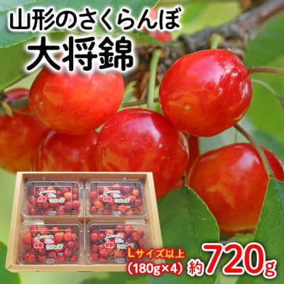 さくらんぼ 大将錦 Lサイズ以上 720g(180g×4) 【令和8年産先行予約】FS25-525