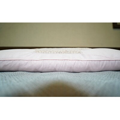 さくらんぼ種枕 FZ20-085