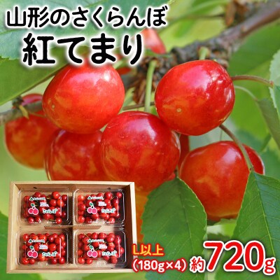 さくらんぼ 紅てまり Lサイズ以上720g(180g×4) 【令和9年産先行予約】FS25-524 
