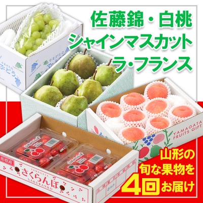 【定期便4回】フルーツ王国山形『佐藤錦、白桃、シャインマスカット、ラ・フランス』 FY25-308