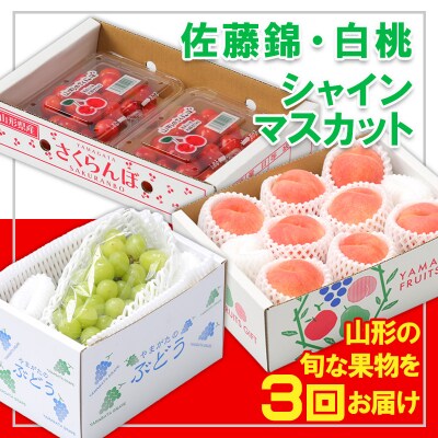 【定期便3回】☆フルーツ王国山形☆『佐藤錦、白桃、シャインマスカット』 FZ26-814