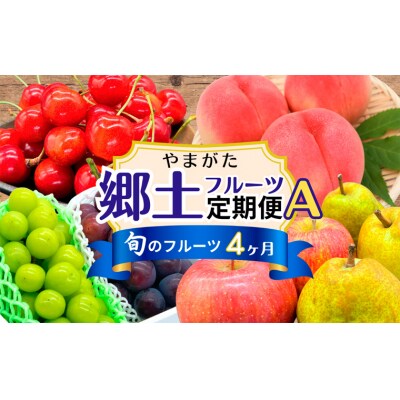 【定期便4回】やまがた郷土フルーツ定期便A FY25-342