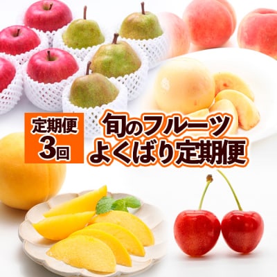 【定期便3回】旬のフルーツ　よくばり定期便 FZ25-824