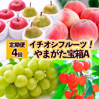 【定期便4回】イチオシフルーツ!やまがた宝箱A FY25-823
