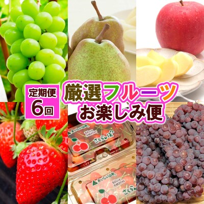 【定期便6回】厳選フルーツお楽しみ FY25-827
