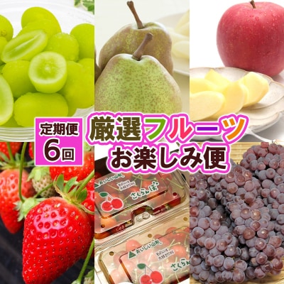 【定期便6回】厳選フルーツお楽しみ FZ25-790