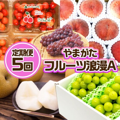 【定期便5回】やまがた フルーツ浪漫A FZ23-031 