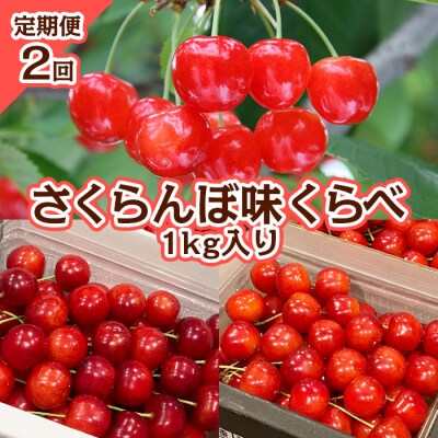 【定期便2回】さくらんぼ 味くらべ 1kg入り 【令和9年産先行予約】FS25-572 