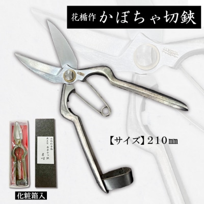 花楯作 かぼちゃ切鋏 210mm FY23-671