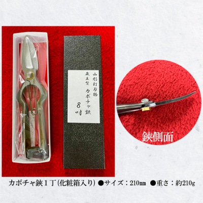 花楯作 かぼちゃ切鋏 210mm FY23-671