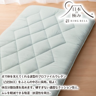 【日本の極み】プロファイル入り 羊毛混敷ふとん 2枚セット  FZ23-347