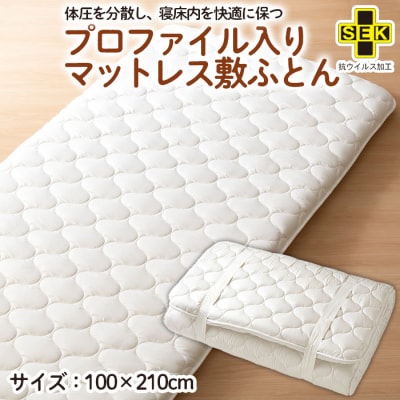 y{̋ɂ݁zvt@C}bgX ~ӂƂ FY23-345