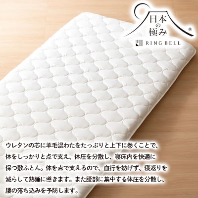 【日本の極み】プロファイル入りマットレス 敷ふとん FY23-345