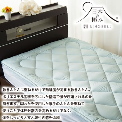 【日本の極み】固わた 敷ふとん(オーバーレイタイプ) 2枚セット FY23-349