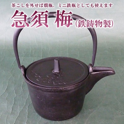 急須 梅 0.4L FZ26-887