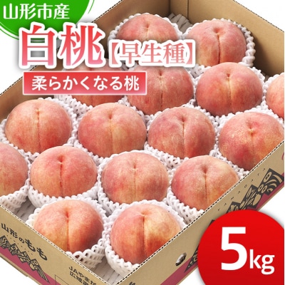 山形市産 柔らかくなる桃 5kg【早生種】「三郷・まどか・陽夏妃」【令和8年産】FS25-125 