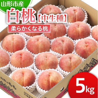 山形市産 柔らかくなる白桃【中生種】「かぐや・ゆうぞら・あぶくま」【令和8年産】FS25-127 