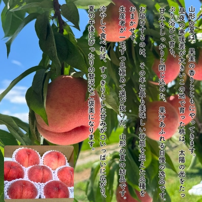 やまがた果実めぐり ―白桃と秋姫― 約3kg 秀品【令和8年産先行予約】FS25-090